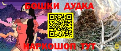 2c-b Камышлов