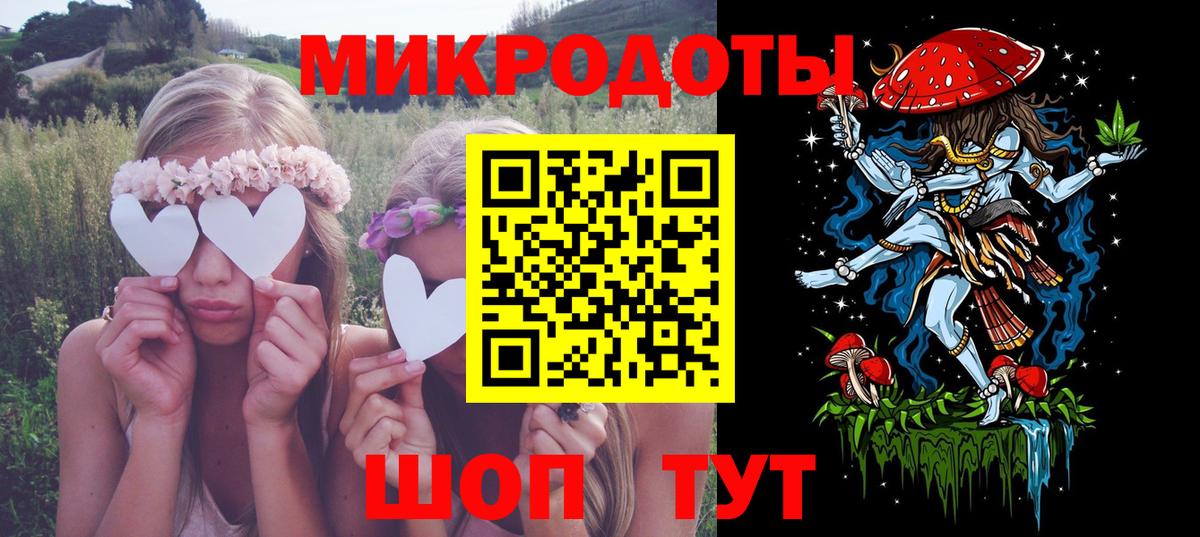 Псилоцибиновые грибы Cubensis Лысьва